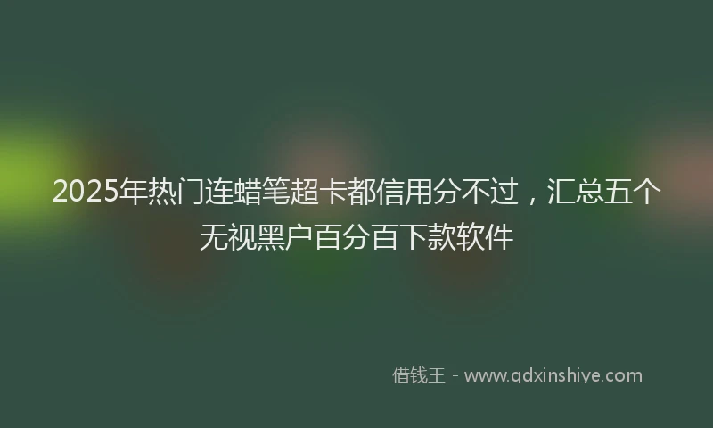 2025年热门连蜡笔超卡都信用分不过，汇总五个无视黑户百分百下款软件