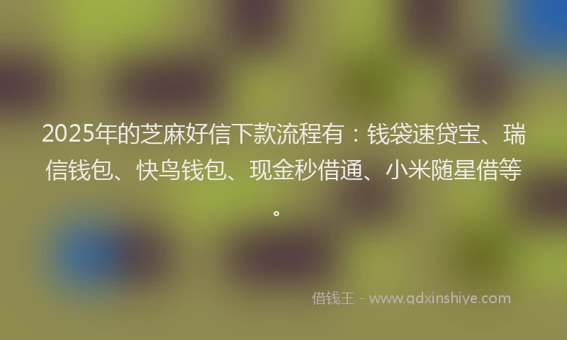 2025年的芝麻好信下款流程有：钱袋速贷宝、瑞信钱包、快鸟钱包、现金秒借通、小米随星借等。