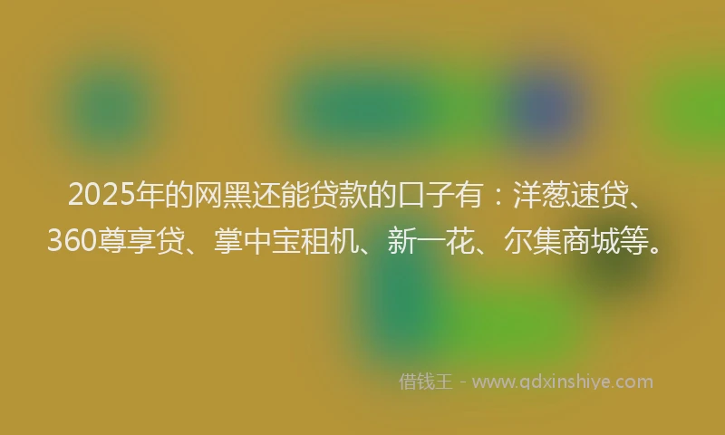 2025年的网黑还能贷款的口子有：洋葱速贷、360尊享贷、掌中宝租机、新一花、尔集商城等。