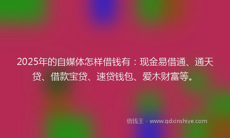 2025年的自媒体怎样借钱有：现金易借通、通天贷、借款宝贷、速贷钱包、爱木财富等。