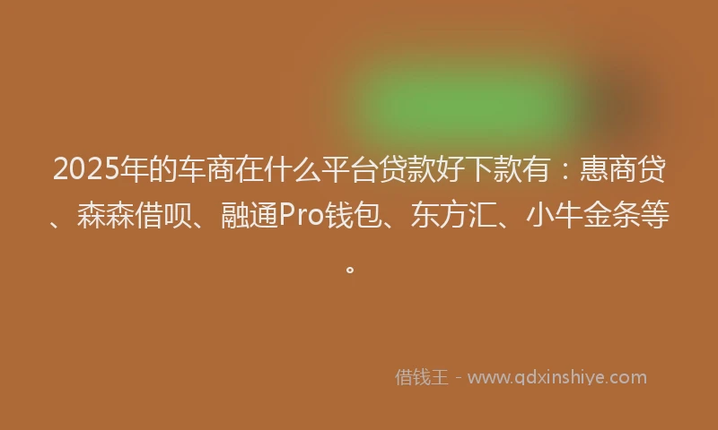 2025年的车商在什么平台贷款好下款有：惠商贷、森森借呗、融通Pro钱包、东方汇、小牛金条等。