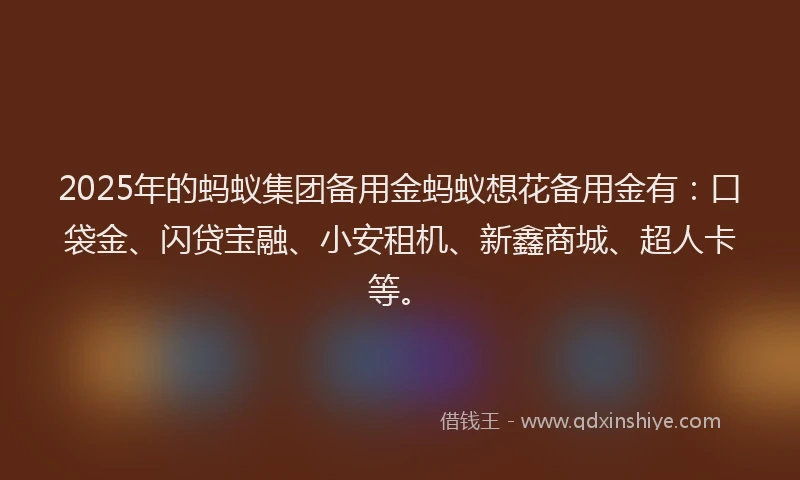 2025年的蚂蚁集团备用金蚂蚁想花备用金有：口袋金、闪贷宝融、小安租机、新鑫商城、超人卡等。