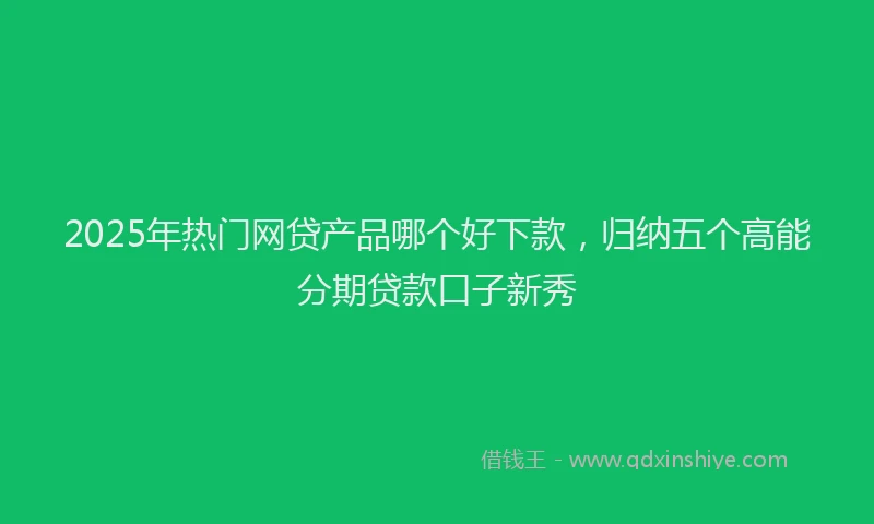 2025年热门网贷产品哪个好下款，归纳五个高能分期贷款口子新秀