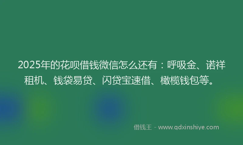 2025年的花呗借钱微信怎么还有：呼吸金、诺祥租机、钱袋易贷、闪贷宝速借、橄榄钱包等。
