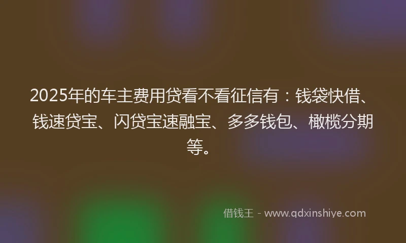 2025年的车主费用贷看不看征信有：钱袋快借、钱速贷宝、闪贷宝速融宝、多多钱包、橄榄分期等。