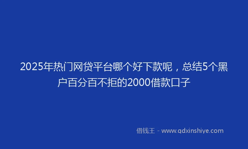 2025年热门网贷平台哪个好下款呢，总结5个黑户百分百不拒的2000借款口子