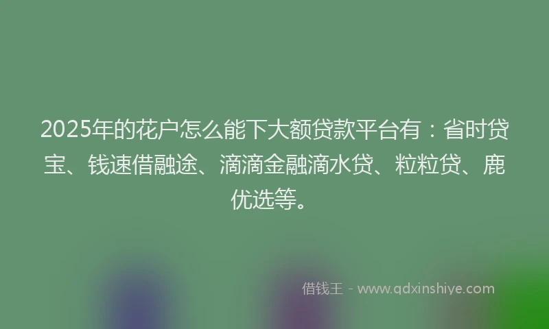 2025年的花户怎么能下大额贷款平台有：省时贷宝、钱速借融途、滴滴金融滴水贷、粒粒贷、鹿优选等。