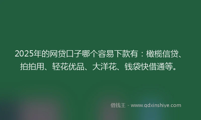 2025年的网贷口子哪个容易下款有：橄榄信贷、拍拍用、轻花优品、大洋花、钱袋快借通等。