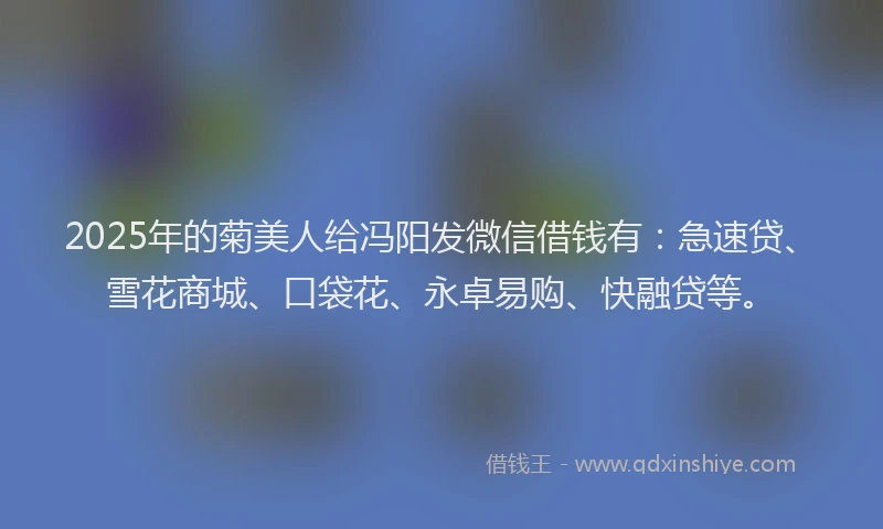 2025年的菊美人给冯阳发微信借钱有：急速贷、雪花商城、口袋花、永卓易购、快融贷等。