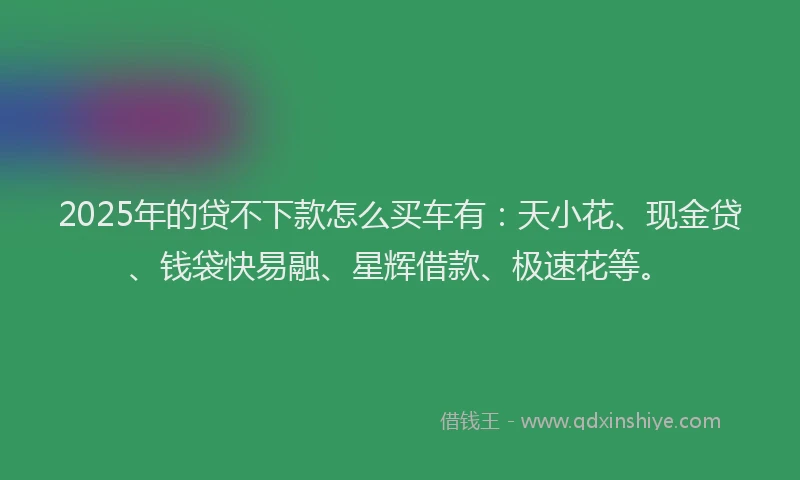 2025年的贷不下款怎么买车有：天小花、现金贷、钱袋快易融、星辉借款、极速花等。