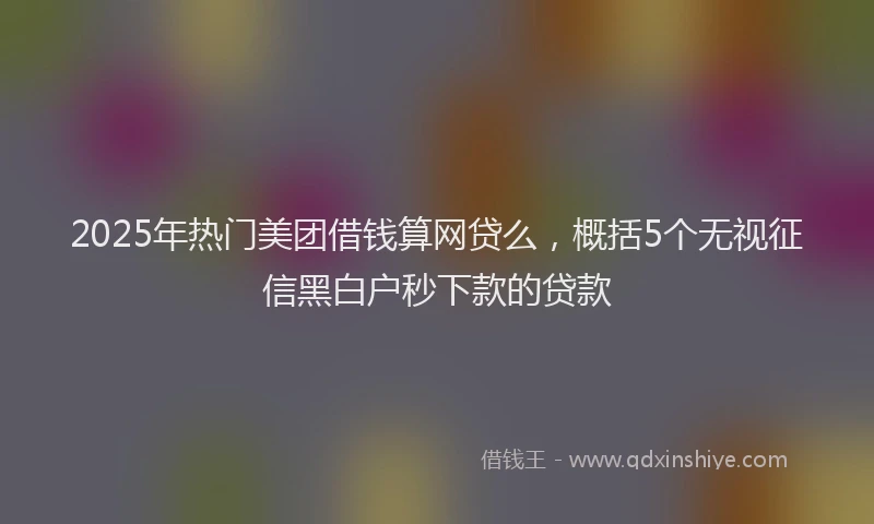 2025年热门美团借钱算网贷么，概括5个无视征信黑白户秒下款的贷款
