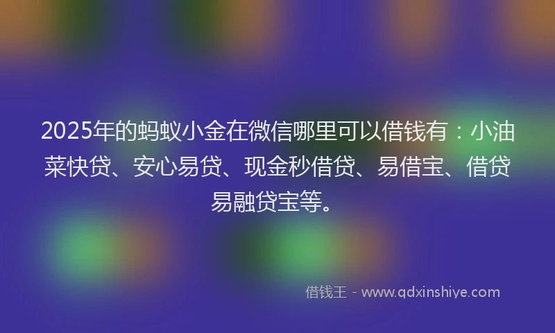 2025年的蚂蚁小金在微信哪里可以借钱有：小油菜快贷、安心易贷、现金秒借贷、易借宝、借贷易融贷宝等。