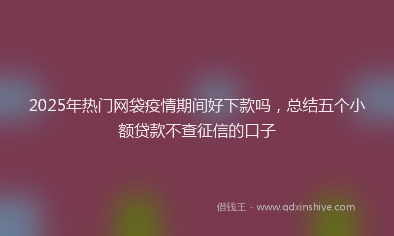 2025年热门网袋疫情期间好下款吗，总结五个小额贷款不查征信的口子