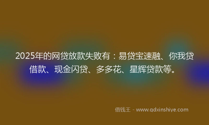 2025年的网贷放款失败有：易贷宝速融、你我贷借款、现金闪贷、多多花、星辉贷款等。
