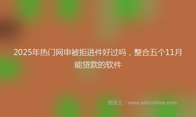 2025年热门网申被拒进件好过吗，整合五个11月能贷款的软件