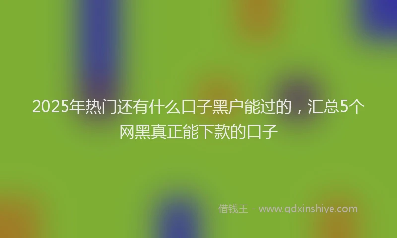 2025年热门还有什么口子黑户能过的，汇总5个网黑真正能下款的口子