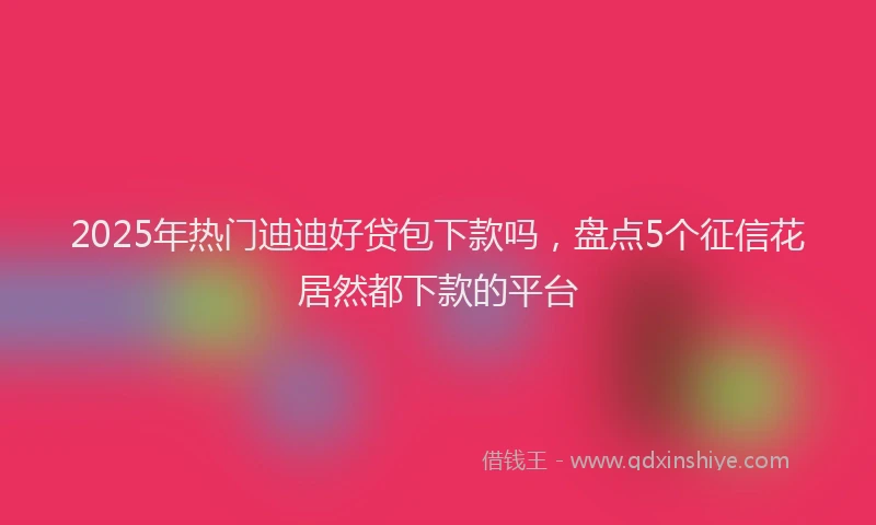 2025年热门迪迪好贷包下款吗，盘点5个征信花居然都下款的平台