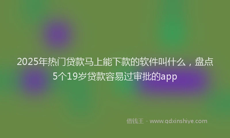 2025年热门贷款马上能下款的软件叫什么，盘点5个19岁贷款容易过审批的app