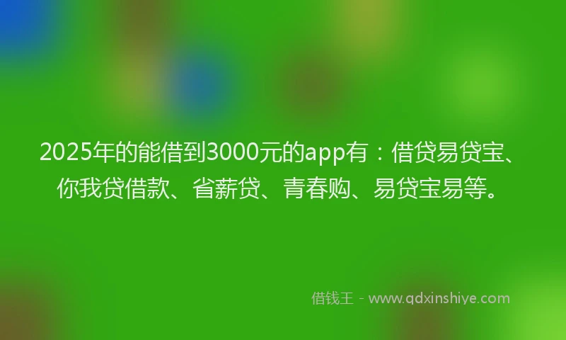 2025年的能借到3000元的app有：借贷易贷宝、你我贷借款、省薪贷、青春购、易贷宝易等。