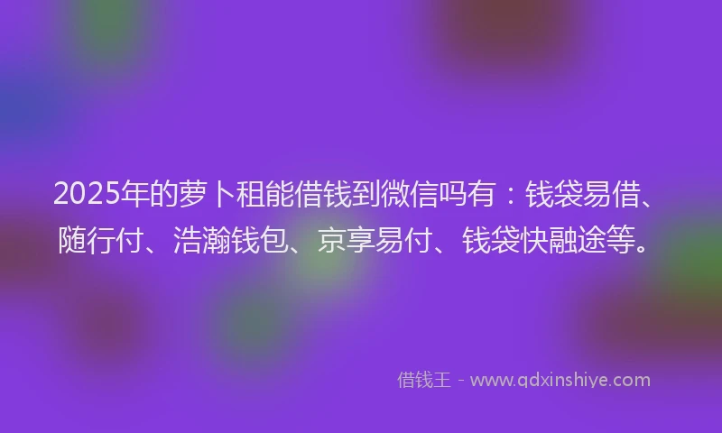 2025年的萝卜租能借钱到微信吗有：钱袋易借、随行付、浩瀚钱包、京享易付、钱袋快融途等。