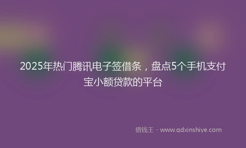 2025年热门腾讯电子签借条，盘点5个手机支付宝小额贷款的平台