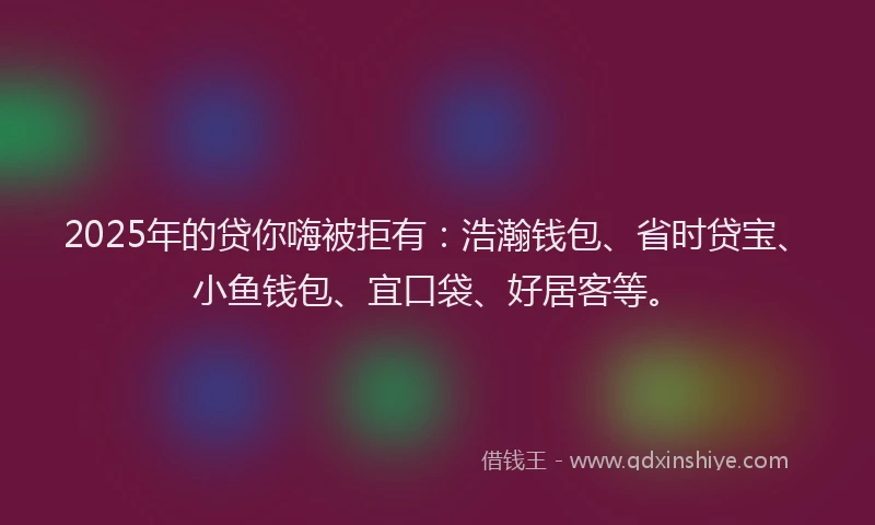 2025年的贷你嗨被拒有：浩瀚钱包、省时贷宝、小鱼钱包、宜口袋、好居客等。