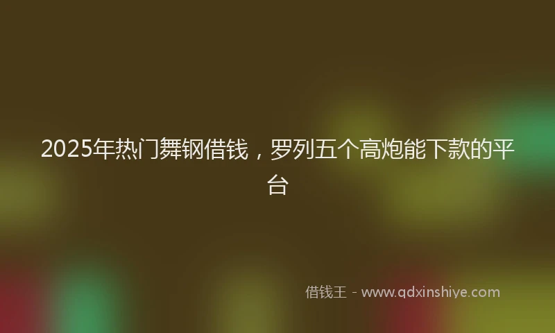 2025年热门舞钢借钱，罗列五个高炮能下款的平台
