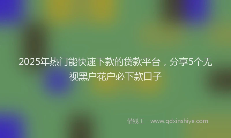 2025年热门能快速下款的贷款平台，分享5个无视黑户花户必下款口子
