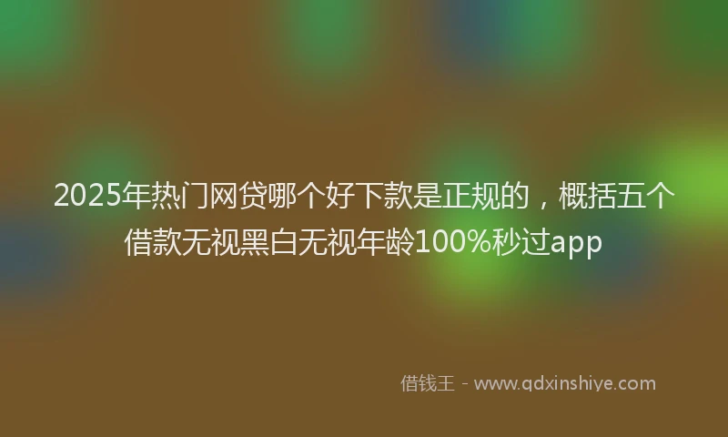 2025年热门网贷哪个好下款是正规的，概括五个借款无视黑白无视年龄100%秒过app