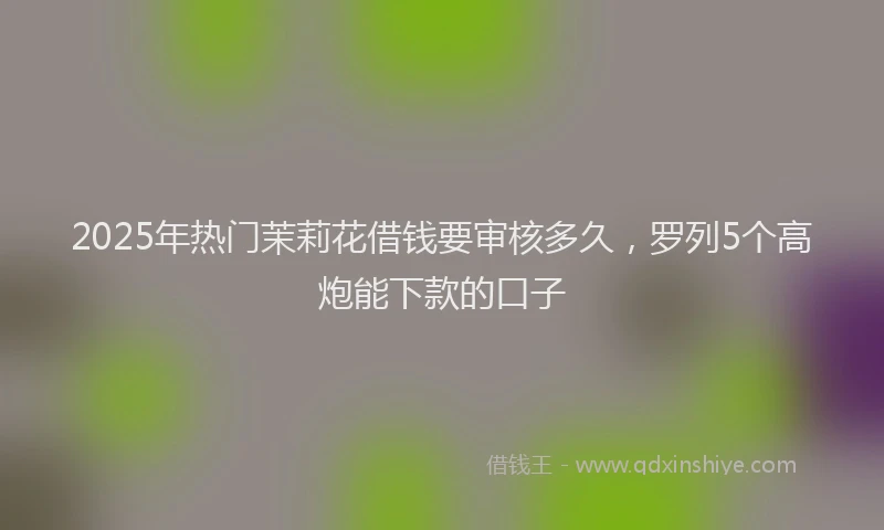 2025年热门茉莉花借钱要审核多久，罗列5个高炮能下款的口子