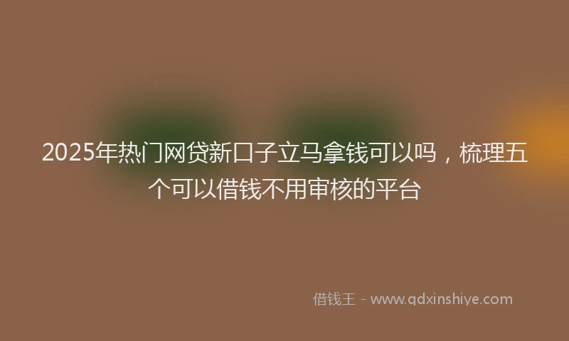 2025年热门网贷新口子立马拿钱可以吗，梳理五个可以借钱不用审核的平台