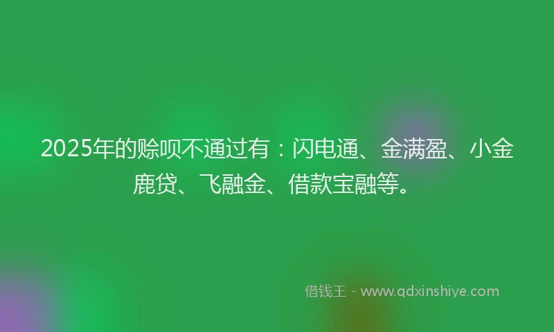 2025年的赊呗不通过有：闪电通、金满盈、小金鹿贷、飞融金、借款宝融等。