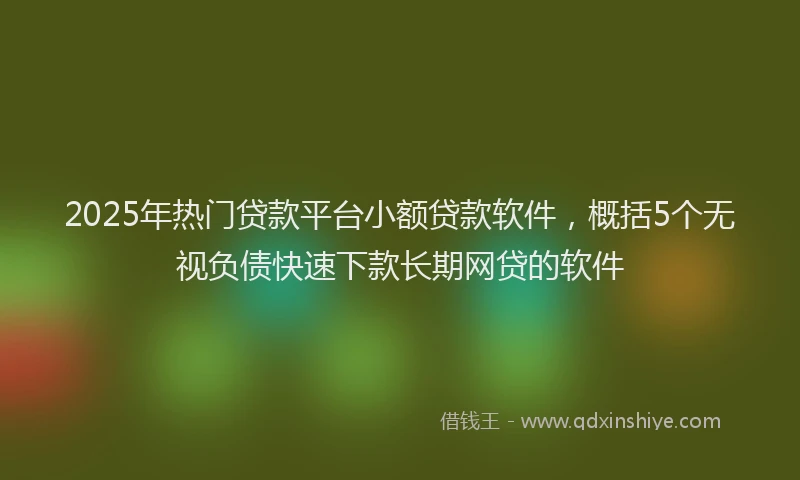 2025年热门贷款平台小额贷款软件，概括5个无视负债快速下款长期网贷的软件