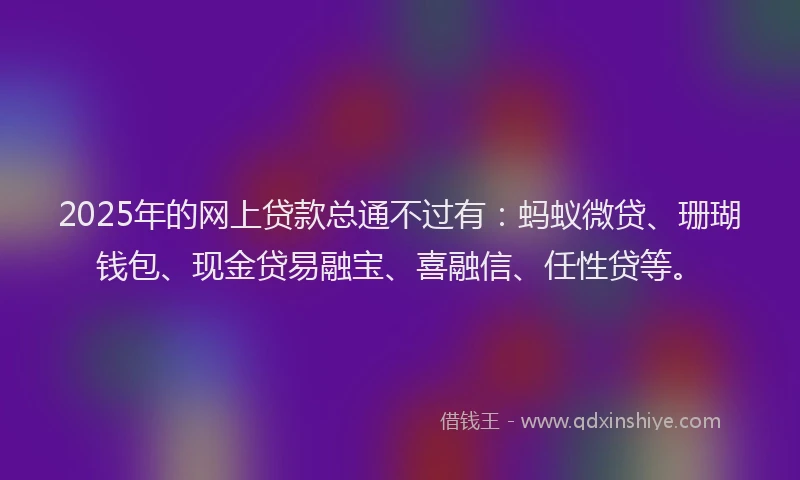 2025年的网上贷款总通不过有：蚂蚁微贷、珊瑚钱包、现金贷易融宝、喜融信、任性贷等。
