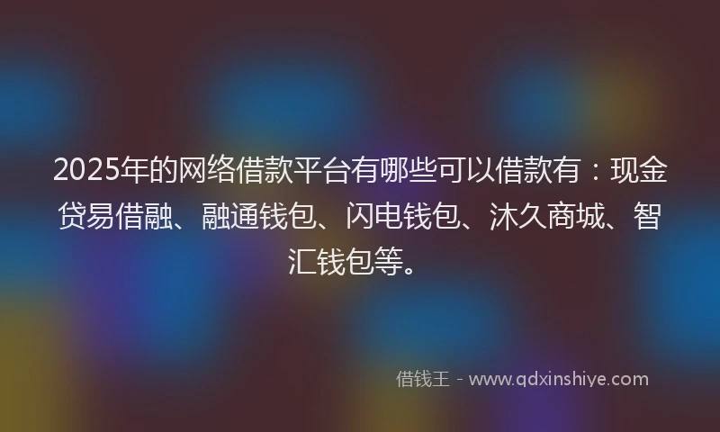 2025年的网络借款平台有哪些可以借款有：现金贷易借融、融通钱包、闪电钱包、沐久商城、智汇钱包等。