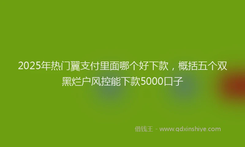 2025年热门翼支付里面哪个好下款，概括五个双黑烂户风控能下款5000口子