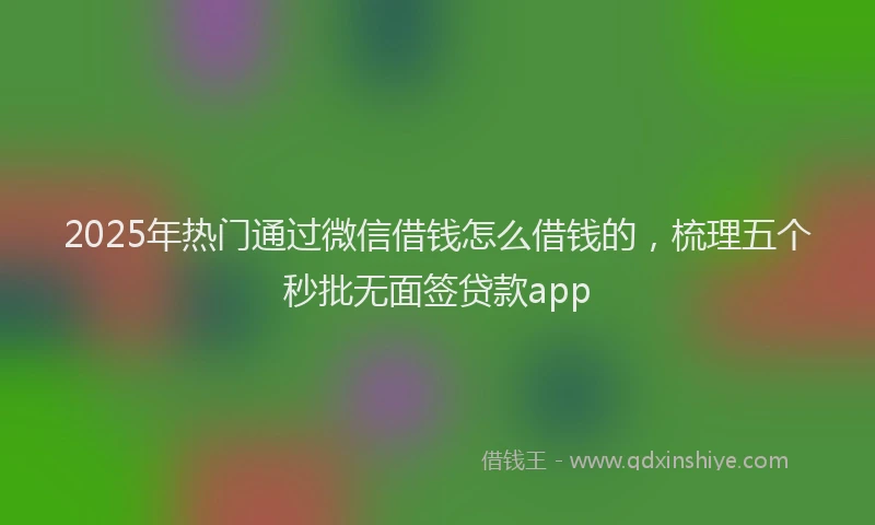 2025年热门通过微信借钱怎么借钱的，梳理五个秒批无面签贷款app