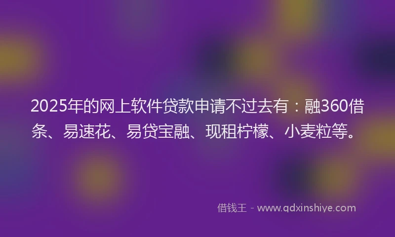 2025年的网上软件贷款申请不过去有：融360借条、易速花、易贷宝融、现租柠檬、小麦粒等。