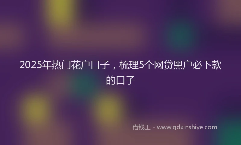 2025年热门花户口子，梳理5个网贷黑户必下款的口子