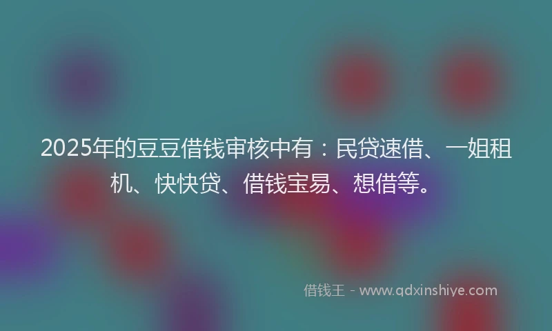 2025年的豆豆借钱审核中有：民贷速借、一姐租机、快快贷、借钱宝易、想借等。