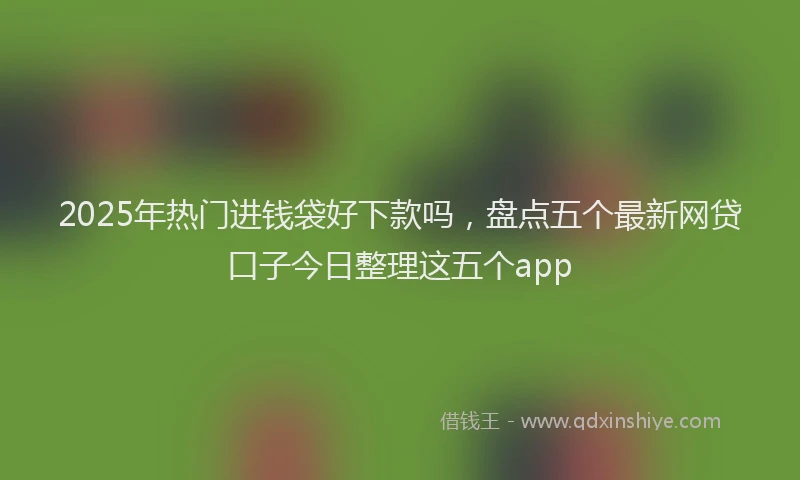 2025年热门进钱袋好下款吗，盘点五个最新网贷口子今日整理这五个app