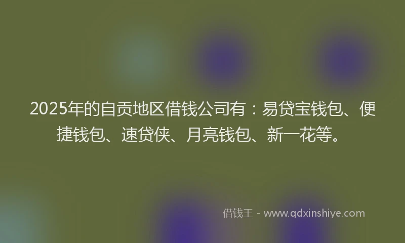 2025年的自贡地区借钱公司有：易贷宝钱包、便捷钱包、速贷侠、月亮钱包、新一花等。