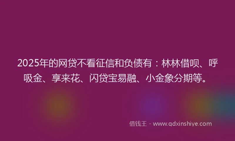2025年的网贷不看征信和负债有：林林借呗、呼吸金、享来花、闪贷宝易融、小金象分期等。
