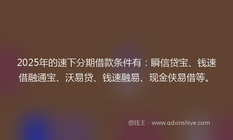 2025年的速下分期借款条件有：瞬信贷宝、钱速借融通宝、沃易贷、钱速融易、现金侠易借等。