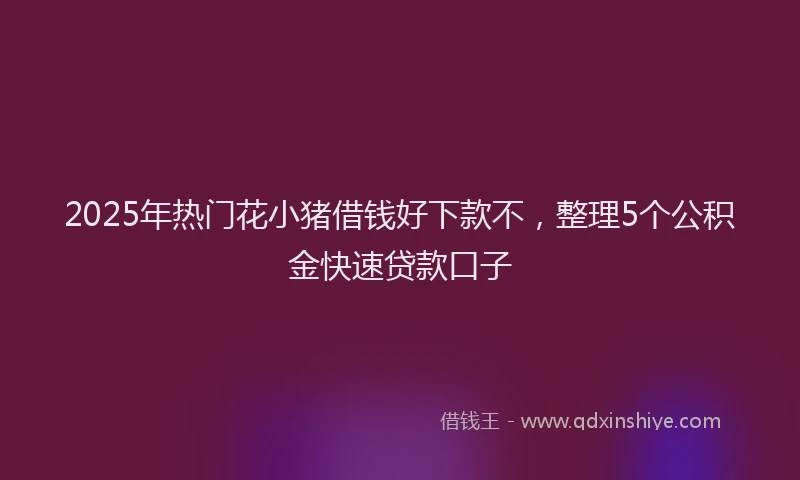 2025年热门花小猪借钱好下款不，整理5个公积金快速贷款口子
