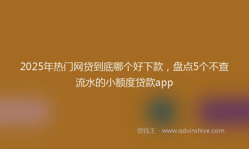 2025年热门网贷到底哪个好下款，盘点5个不查流水的小额度贷款app