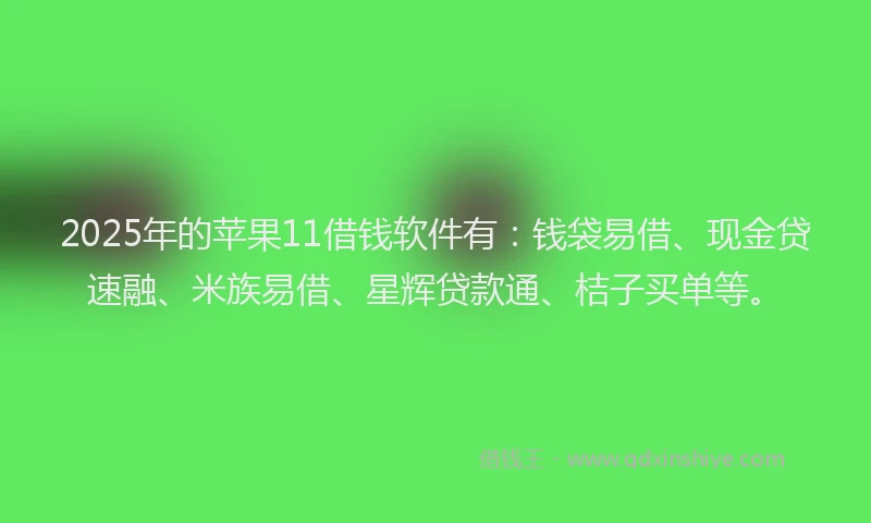 2025年的苹果11借钱软件有：钱袋易借、现金贷速融、米族易借、星辉贷款通、桔子买单等。