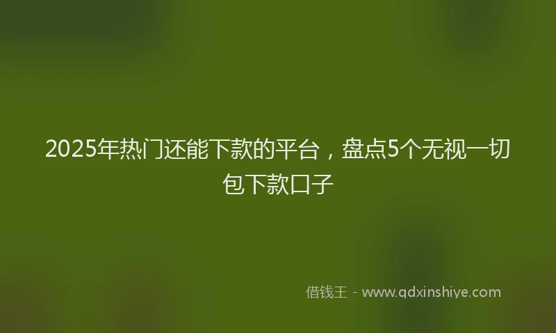 2025年热门还能下款的平台，盘点5个无视一切包下款口子