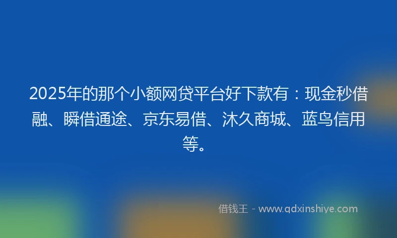 2025年的那个小额网贷平台好下款有：现金秒借融、瞬借通途、京东易借、沐久商城、蓝鸟信用等。