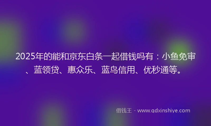 2025年的能和京东白条一起借钱吗有：小鱼免审、蓝领贷、惠众乐、蓝鸟信用、优秒通等。